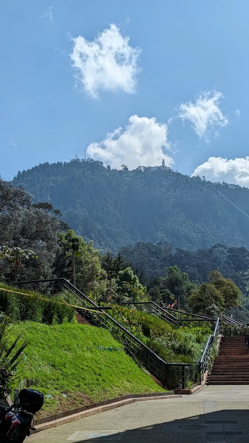 A view of the Montserrate mountain with clouds overhead and fauna mid-field of view.