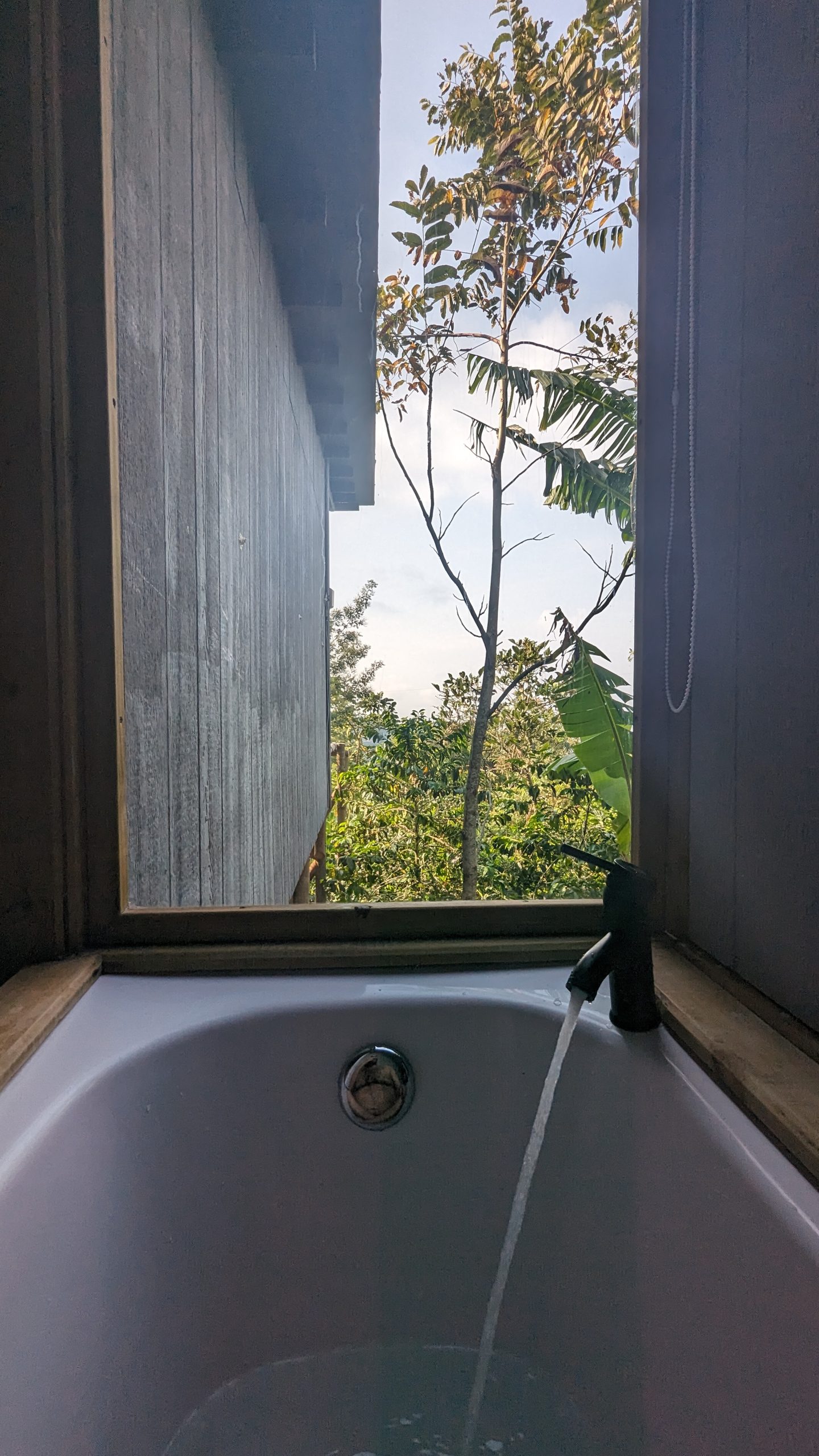 Running bathtub overlooking coffee trees